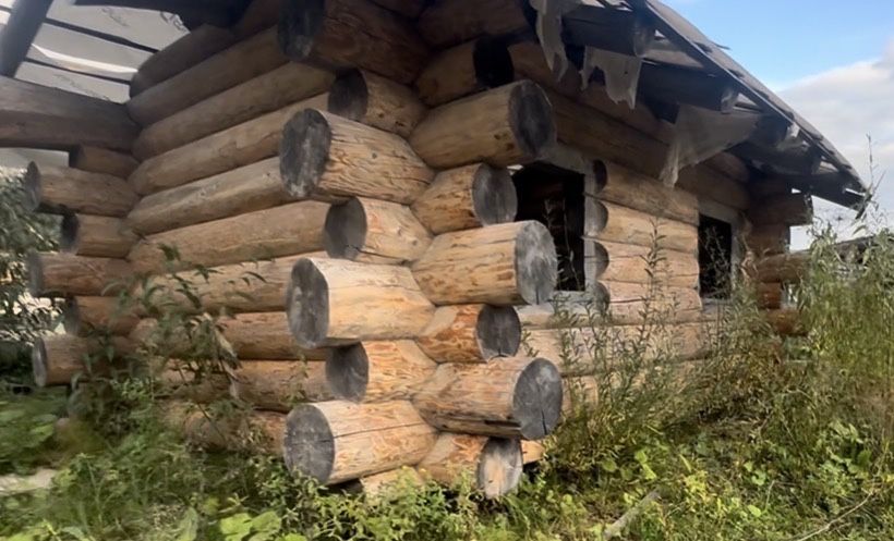 Будинок/банька з зрубу дикого 35-40 см колоди