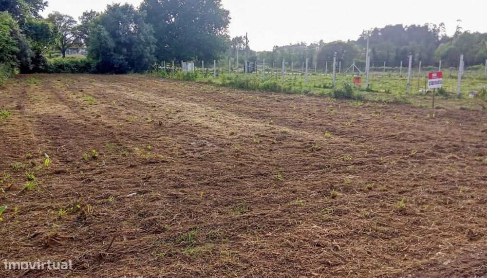 Venda de Terreno agrícola, Tregosa, Barcelos — Durrães E Tregosa, Braga