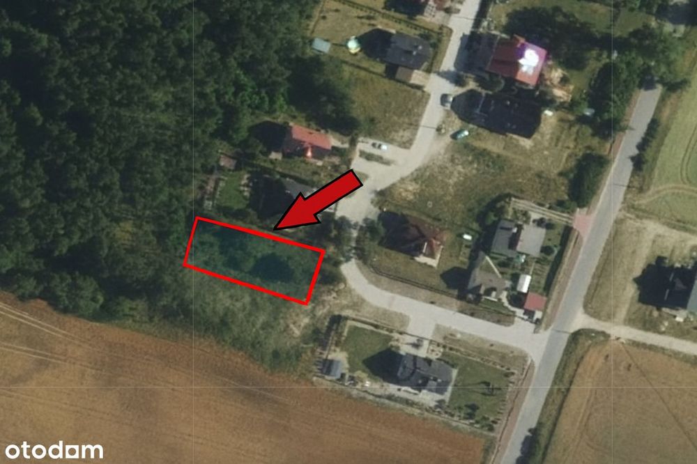 Działka ze ścianą lasu – idealne miejsce na Twój dom