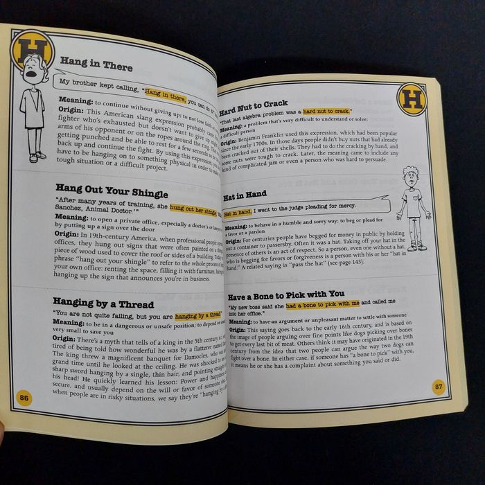 Dictionary of idioms.