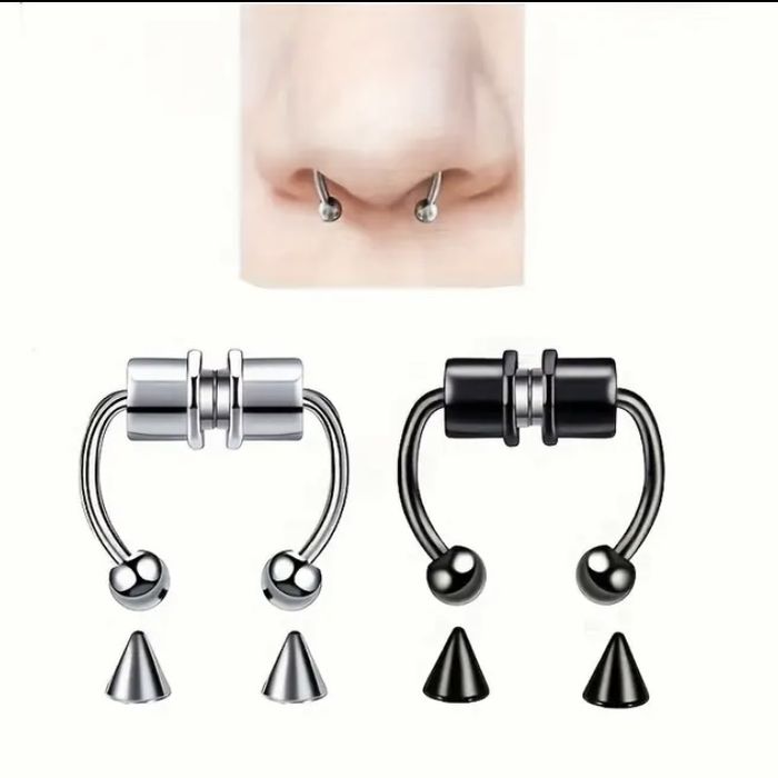 Септум на магнітах