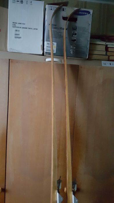 Лыжи беговые спорт