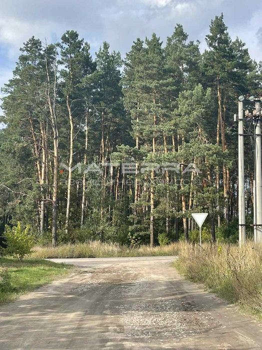 Данилівка продам ділянку 15 сот. Поруч ліс та озеро!