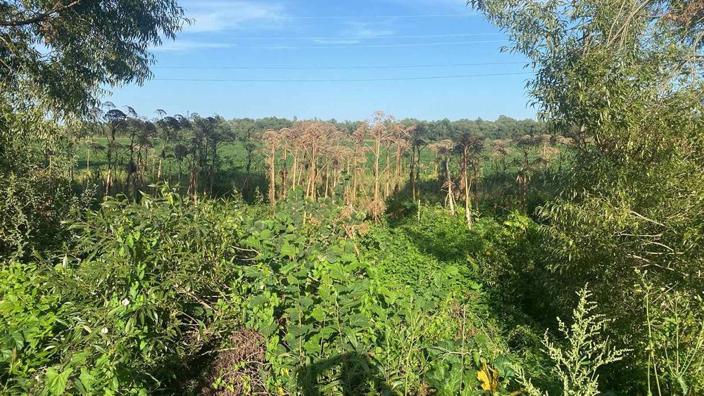 9 сот під бізнес, біля цетральної дороги