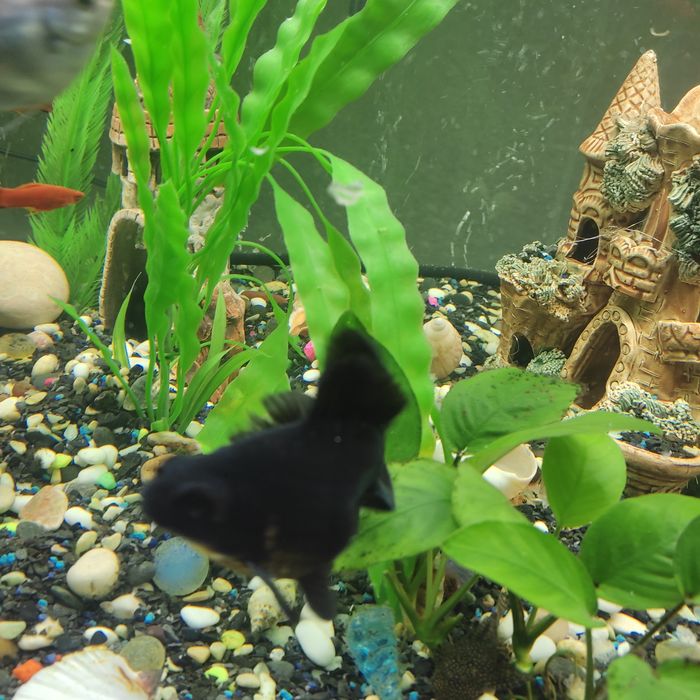 Продам аквариум на 450 литров