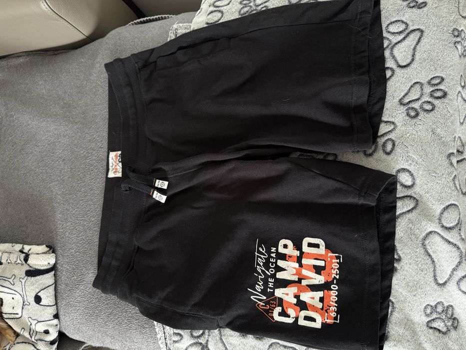 Spodenki meskie camp david L