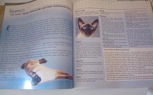Lata Royal Canin - Gatos - Limited Edition - ÚLTIMOS DIAS+ Livro