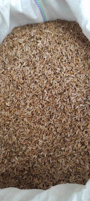 ГАММАРУС сухий . Дафнія Корма для акваріумних риб.