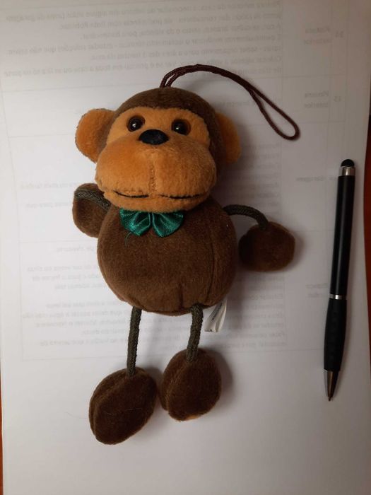 New Small Plush Toy