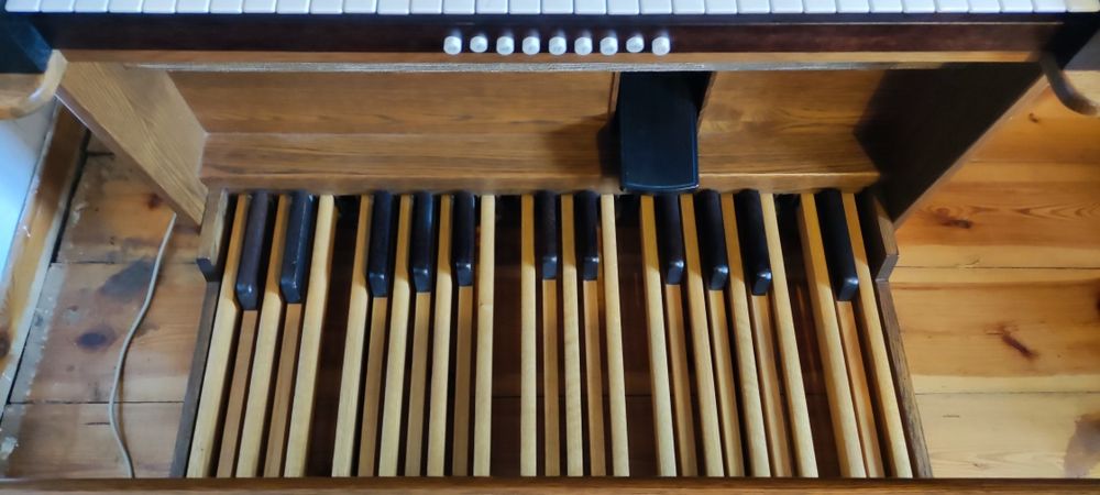 JOHANNUS OPUS 205 ( małopolska) 

ZAWODOWY INSTRUMENT! 

Dla ucznia 
D