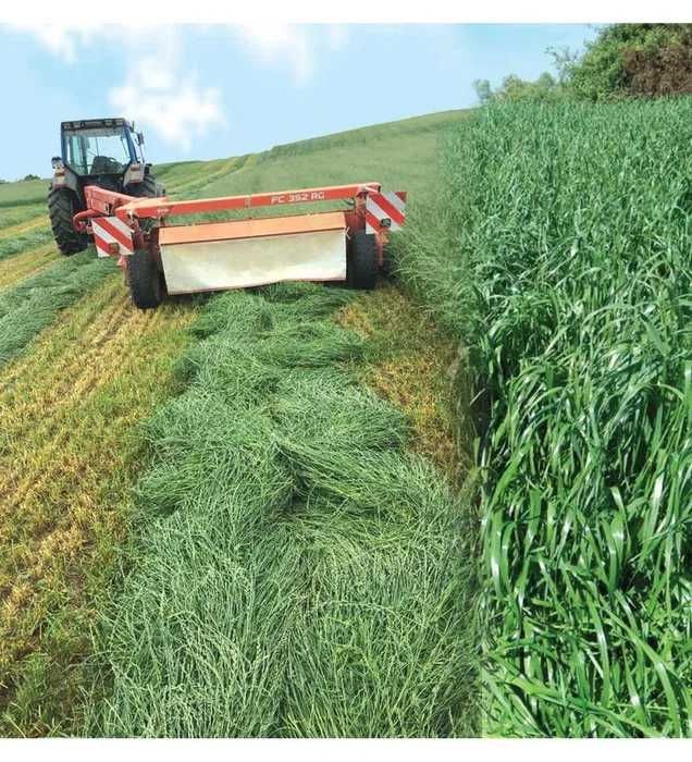 Mix życic, szybko rosnąca. WYSYŁKA GRATIS!!