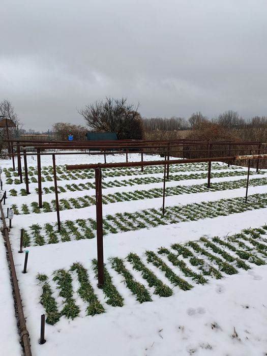 Продам дачу р.он Б.Кахновка