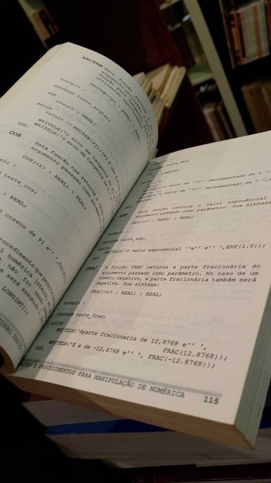 Turbo Pascal 6.0 Comandos e Funções - Roberto Rinal