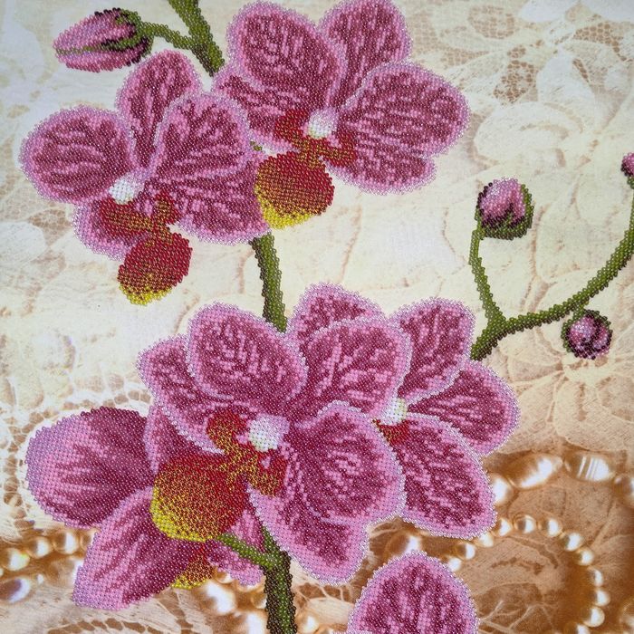 Вишивка бісером Орхідеї