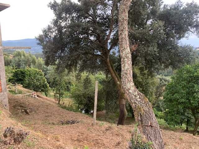 Moradia T3 em Rocas do Vouga (concelho de Sever do Vouga)