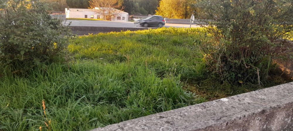 ServiLimpezas terrenos
