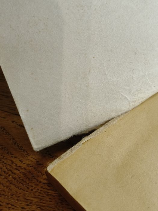 Książka Bieszczadzkie szybowiska ⁷⁰