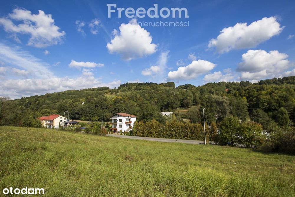 Działka z widokiem | 41 ar w Cieszynie | Wz