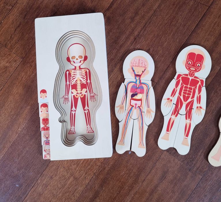 Drewniane edukacyjne puzzle anatomiczne – ciało człowieka warstwowo