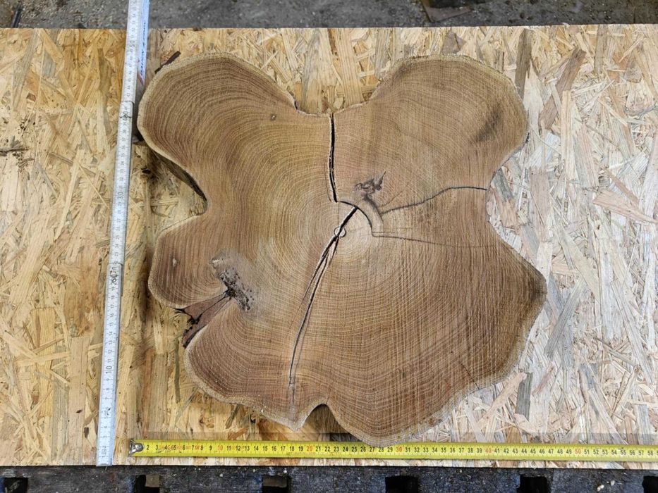 plastry plaster drewna akacja