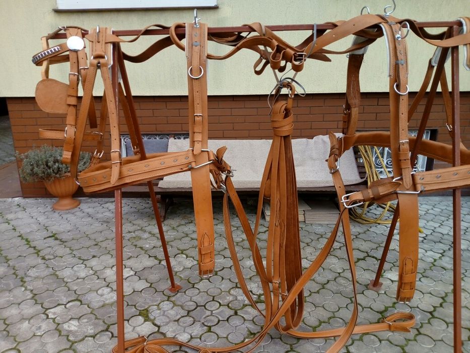 Uprząż, Szory na parę koni