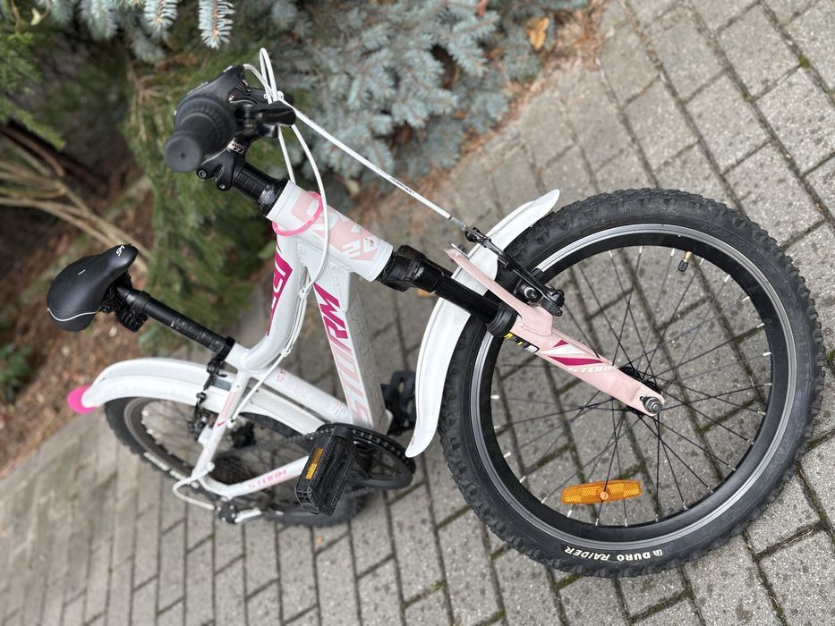 Rower Storm dziecięcy, rama 10 cali, koła 20