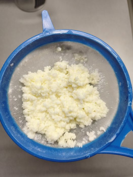 Grzybek tybetański 20 gram