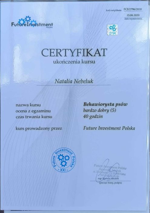 Behawiorysta psów, szkolenie psów
