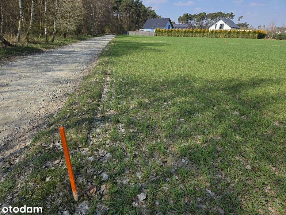 Ostatnie działki z lasem,Kórnik-Konarskie,Borówiec,Kamionki,Mościenica