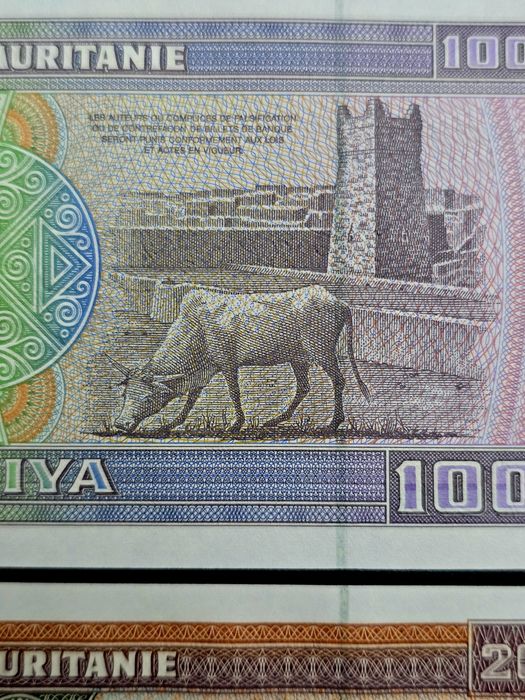 Mauretania zestaw z 2002r UNC bardzo duże banknoty