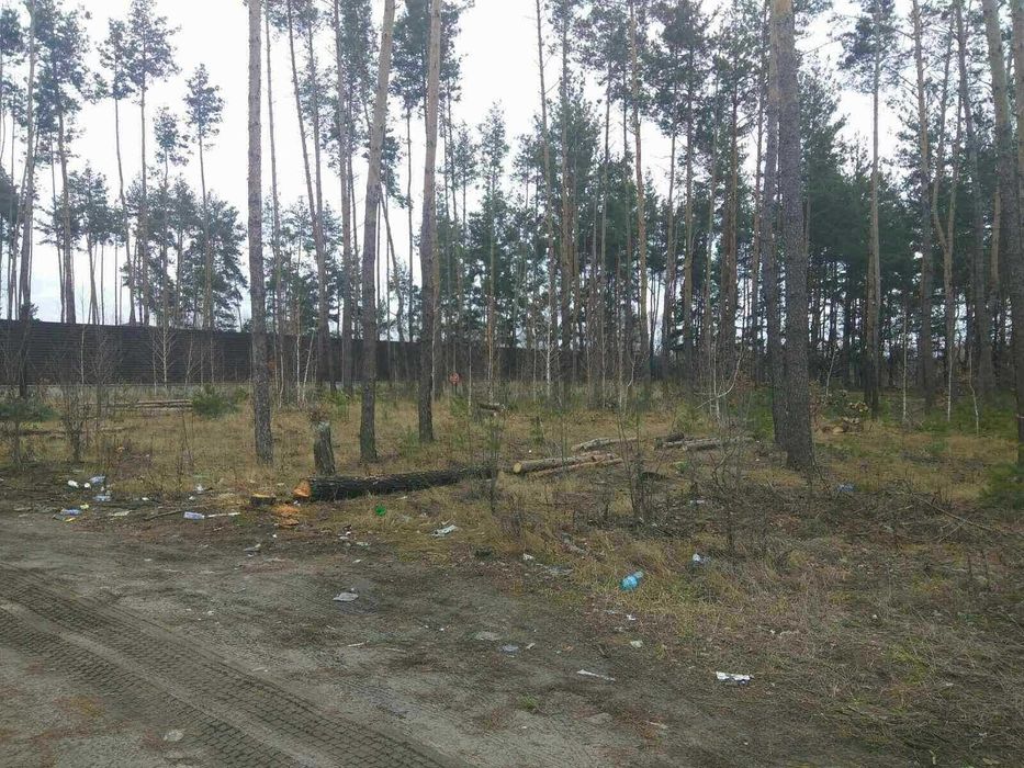 1 Земельна ділянка з ЛІСОМ в с. Мархалевка під  житлову забудову.