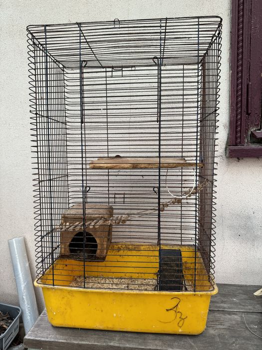 Кролики с клетками