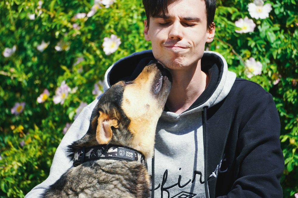 Bary - duży pies szuka domu