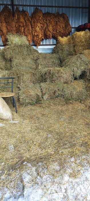 Продам сіно тюки