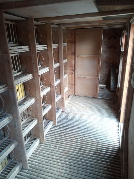 Gołębnik lotowy 5x2m gołębie pocztowe