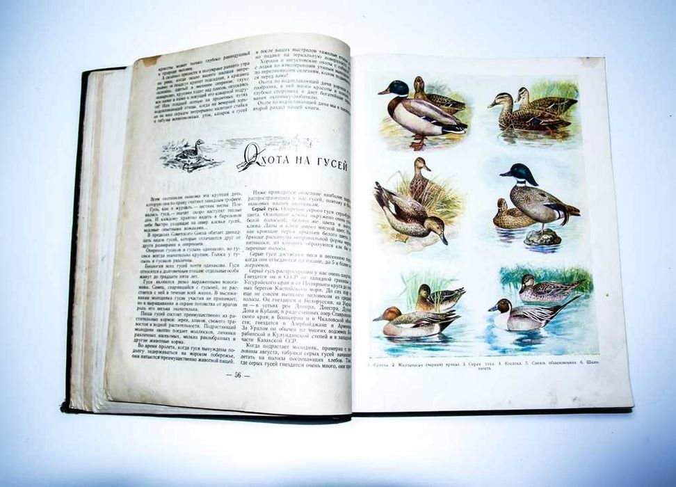 Настольная книга охотника-спортсмена. Том II. 1956