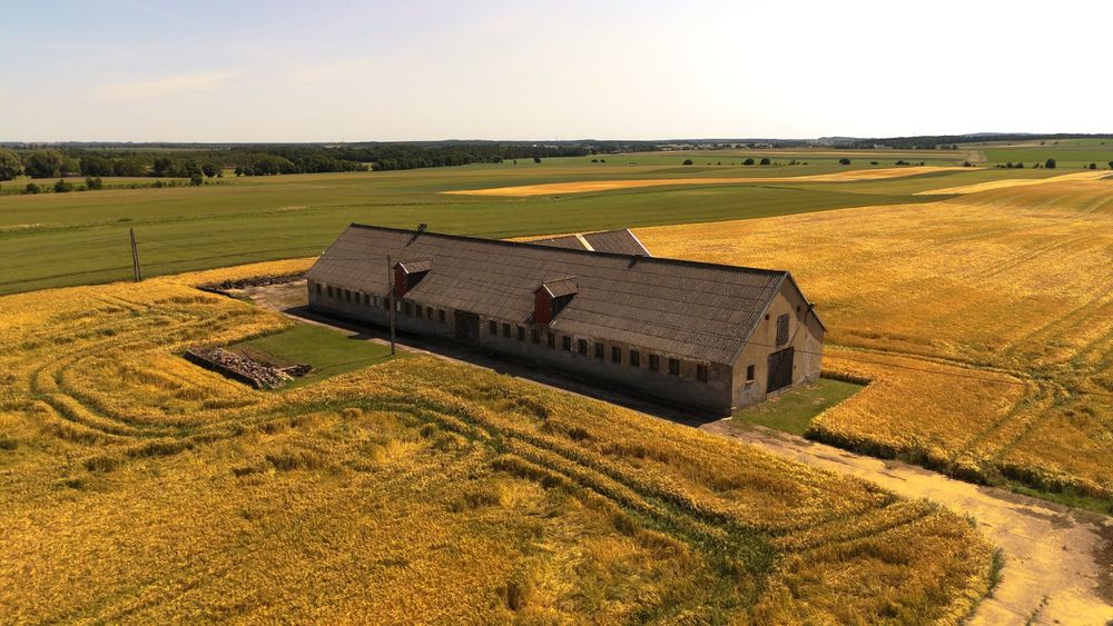 Gospodarstwo rolne 8.17ha/stodoła 445m2