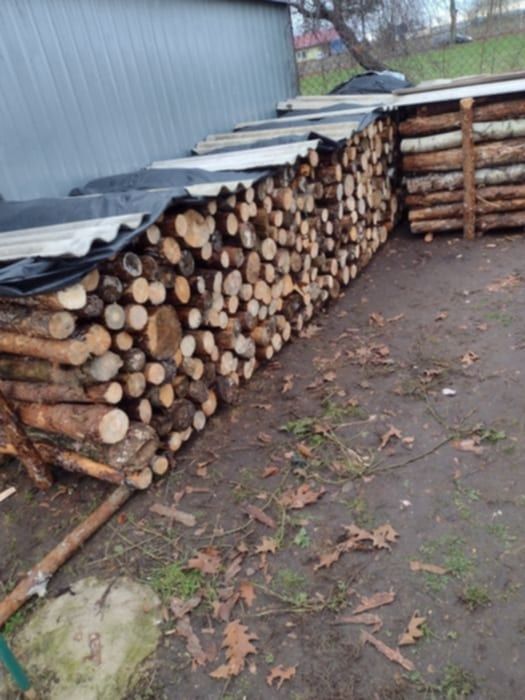 Sprzedam drzewo opałowe..