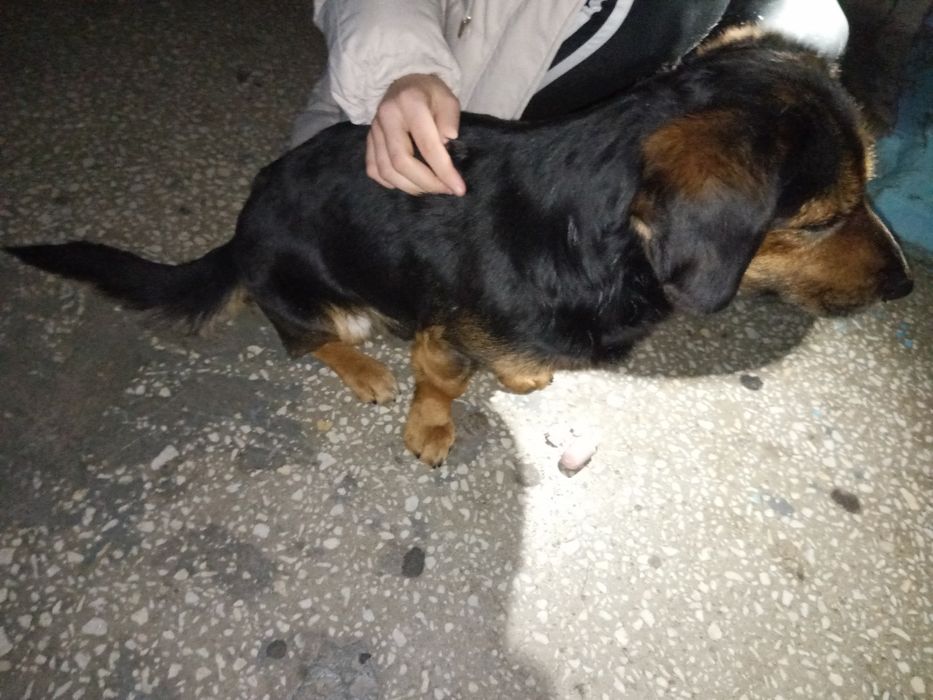 Хлопчик шукає родину.