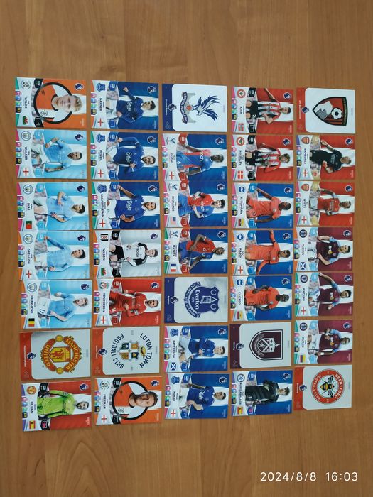 Panini Premier League 2024 - Album + 110 kart ( 2 Golden Baller)