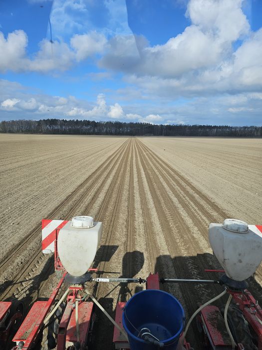 Siew punktowy rzepaku z nawigacją RTK!!!
