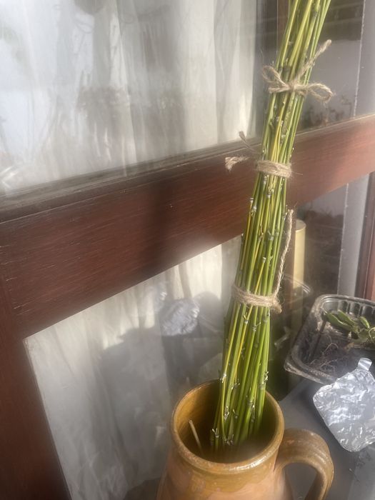 Canas de bambu varios tamanhos