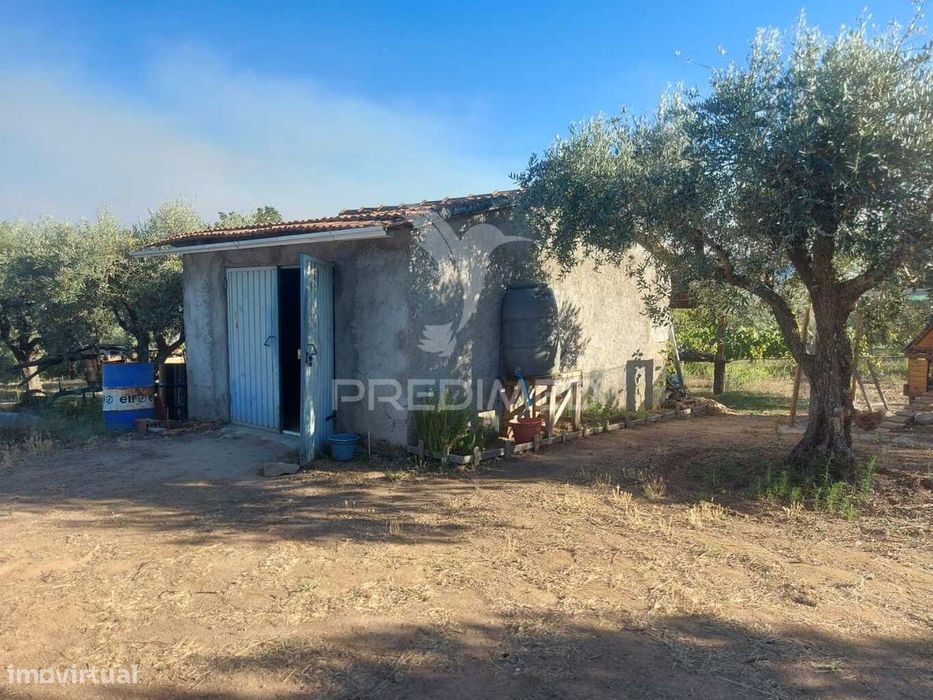 Quintinha com 5000 m2 para venda