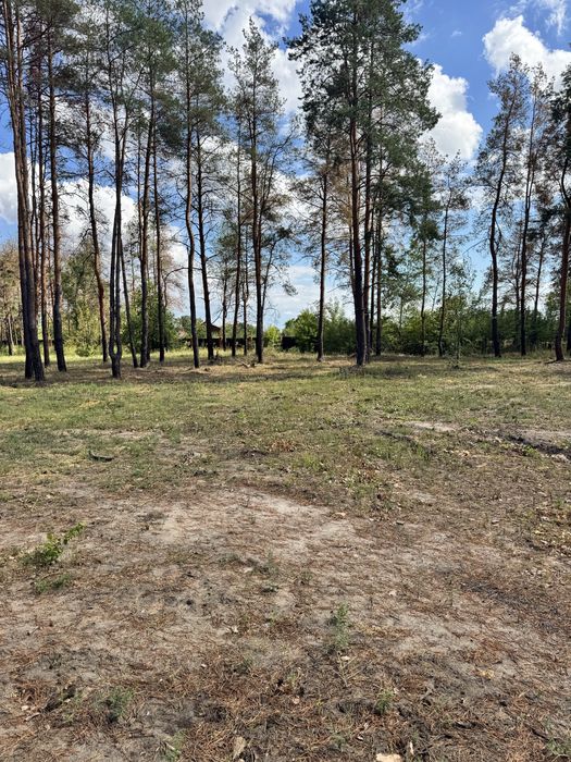 Песчанка, три участка рядом 35 соток