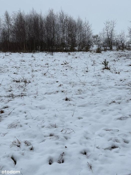 Bezpośrednio, atrakcyjna działka budowlana - Bugaj, gm. Pobiedziska - Więcej