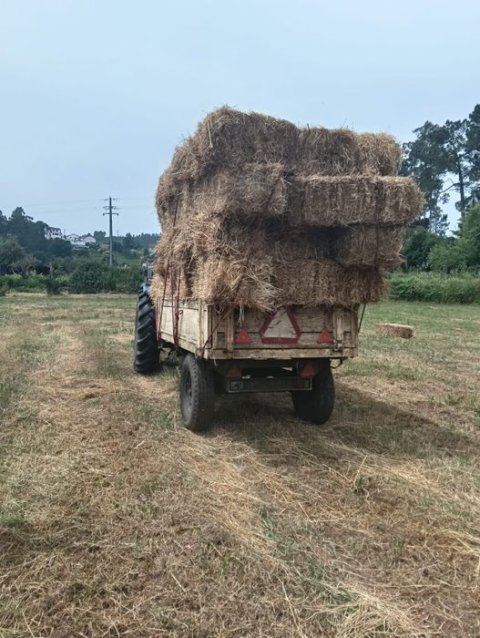 Vendo palha para animais
