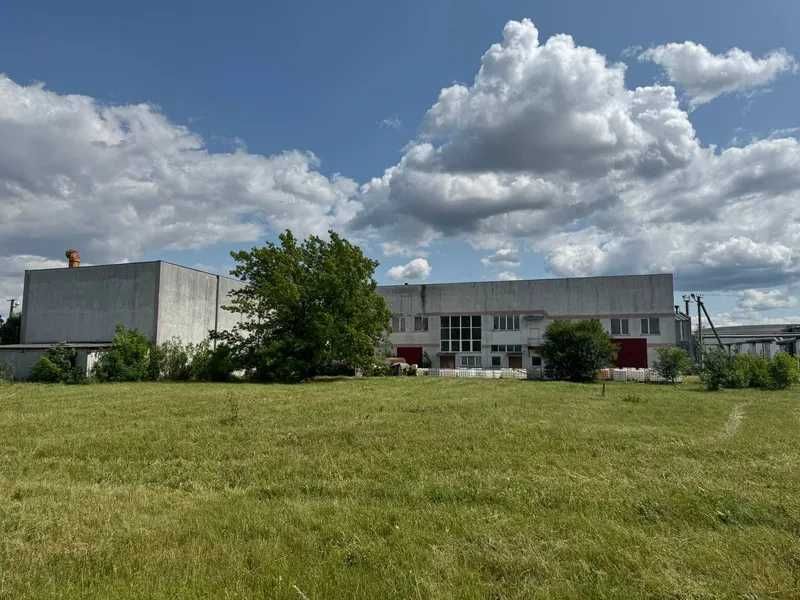 Цех по переробці шкірсировини, 4885 м2, Промисловий центр урочище, 6А