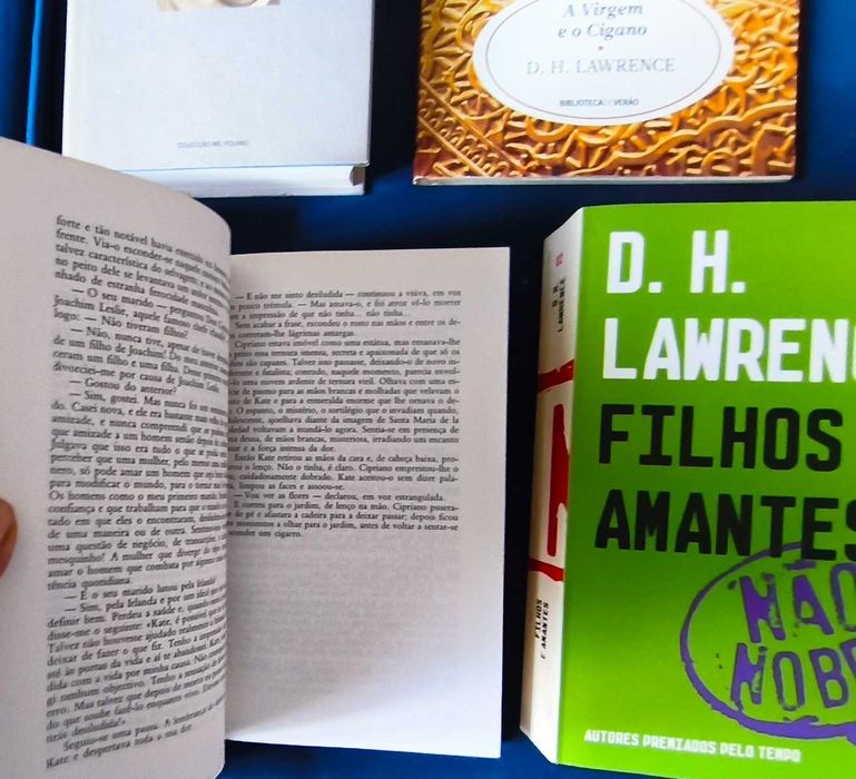 Super Lote 5 Livros D. H. Lawrence