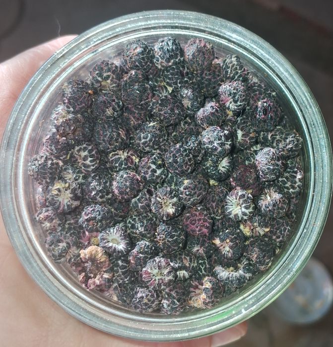 Малина сушена чорна