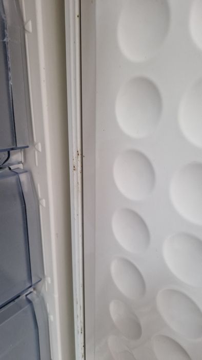 Frigorífico combinado Bosh KGS373201E